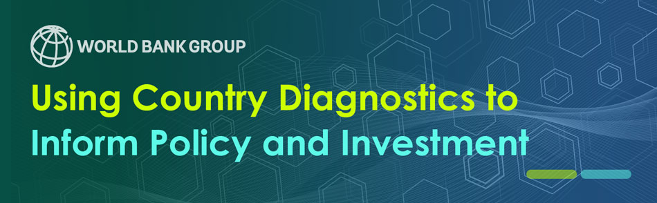 Using Country Diagnostics to Inform Policy and Investment